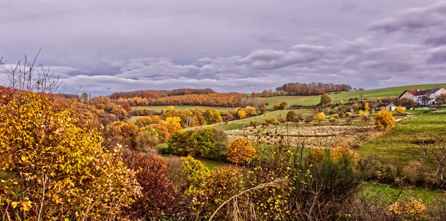 Herbst bei Burbach, Kroppacher Schweiz Herbst 2025