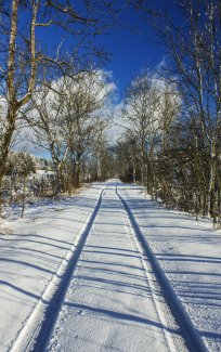 Alte Köln Leipziger Straße