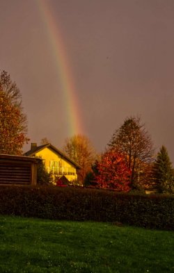 Nach einem kurzen Schneeschauer im November 2023