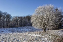 oberhalb der Bacher Lay