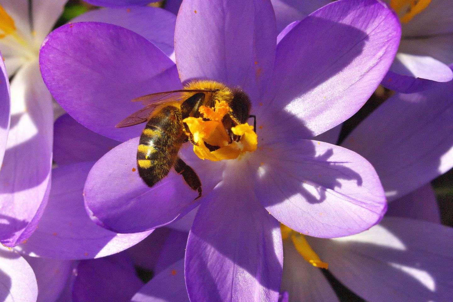 Ende Februar 2026 Ende Februar 2026